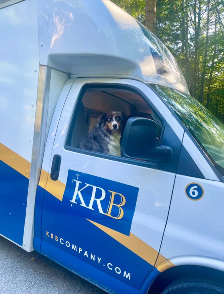 Kitchen Remodel Dog in KRB Truck